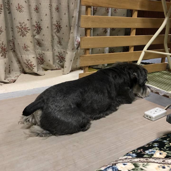 0d9ac4cd 2177 453c 954b 4473f23b113b 1653228236528