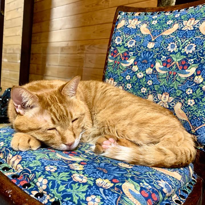 0d9acb13 026f 4ef4 b54c 256773dde236 1615642739987