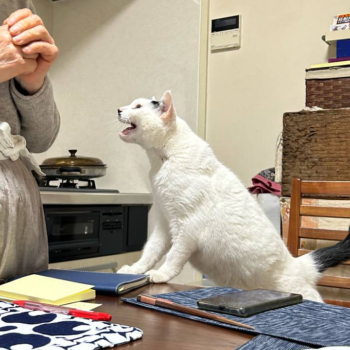 0d9afe18 392b 4445 b945 3812ea81065d 1712760590395