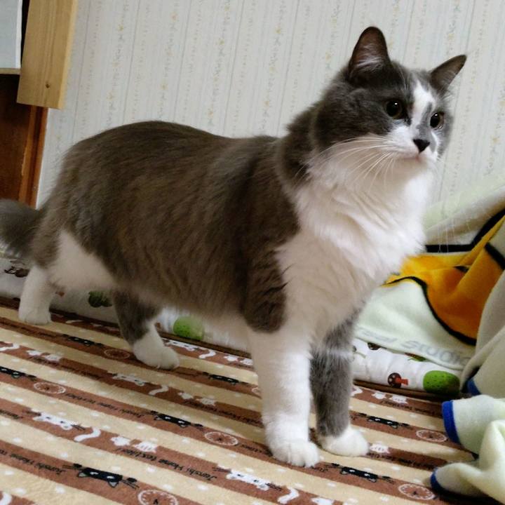 0d9b03f7 ce27 425d b2bc a24b6d03d445 1606996564957