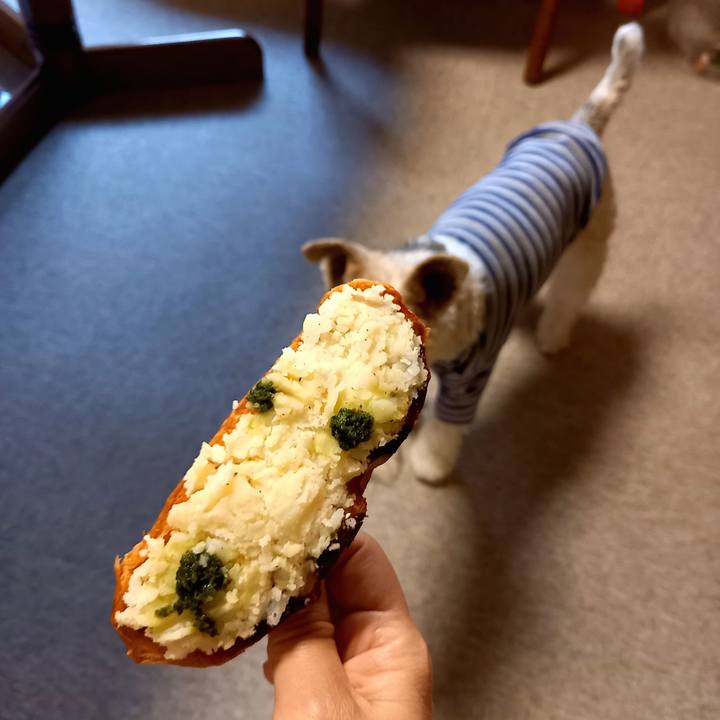 0d9b0c81 d131 485f b95a 623735c14f90 1612663793794