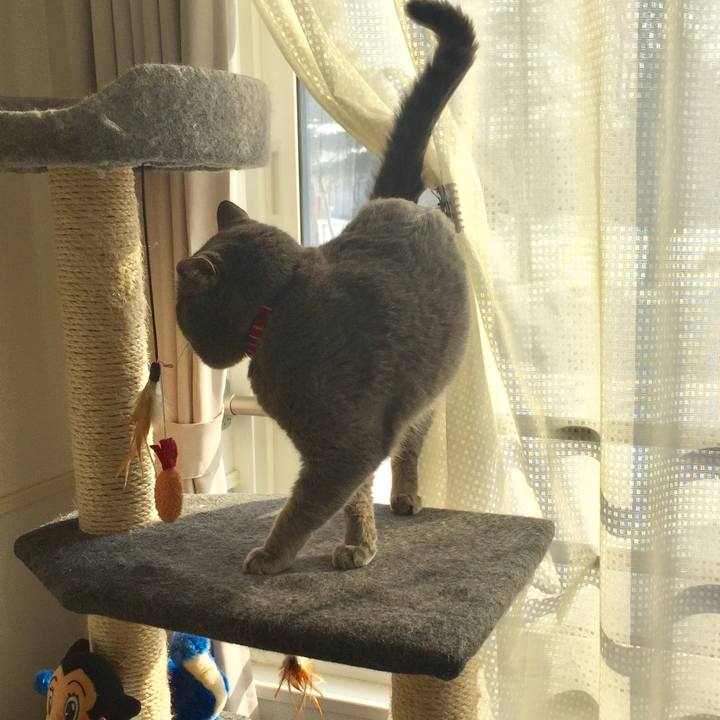 0d9b3477 219a 44df bcb6 d95d611f6f57 1551398216100