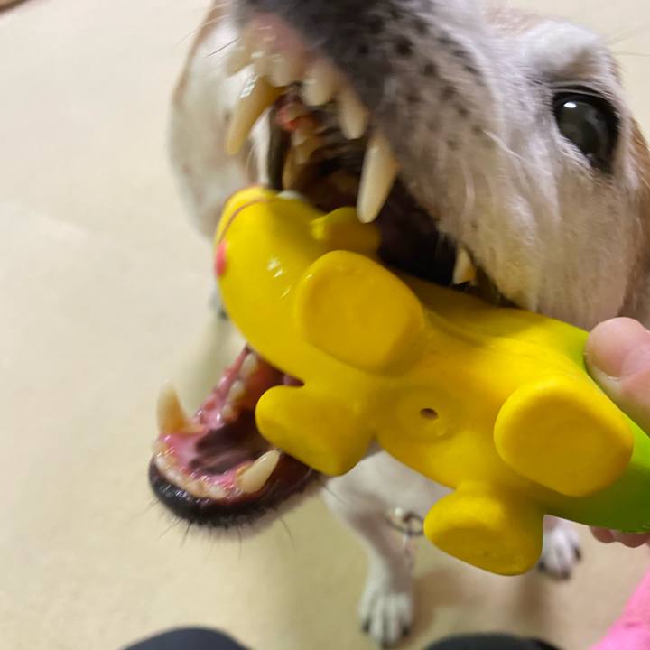 0d9b85ca a3c1 452f b0c0 73e1ea7bf852 1613086834817