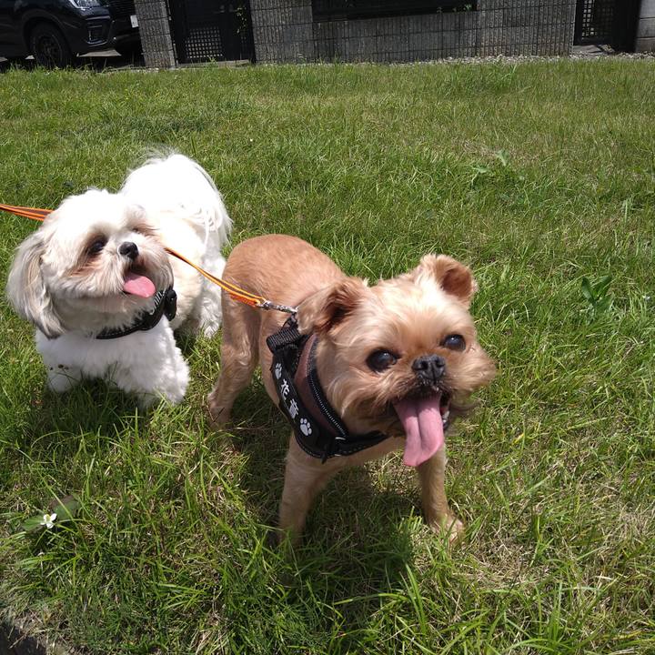 0d9bc196 79c8 4ced ae88 b8ea8051f411 1621775781046