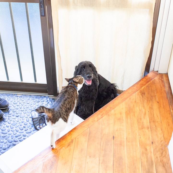 0d9bd246 4ed7 46aa 8a8b c42f9d15c999 1556471767636