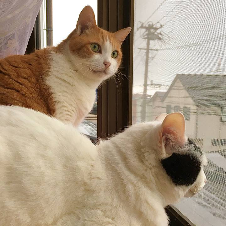 0d9bf5b1 23c6 40a1 a600 b895c5fadfa1 1590294126828