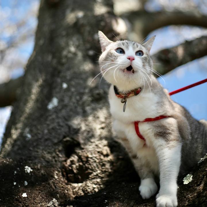 0d9c005c 87c6 4fc6 88ed 65d8a213de66 1680578324683