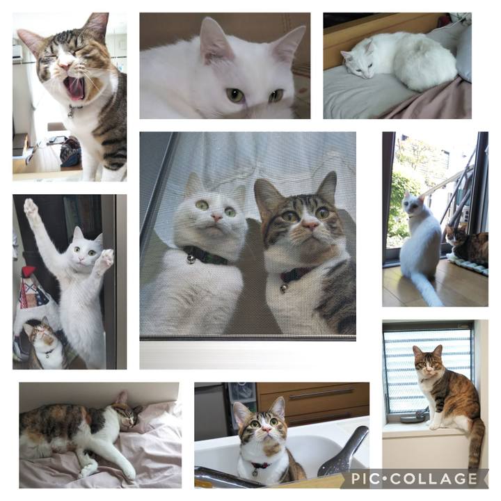 0d9c6f99 ada7 4fcf 8a29 ec482d0d5666 1653015048770