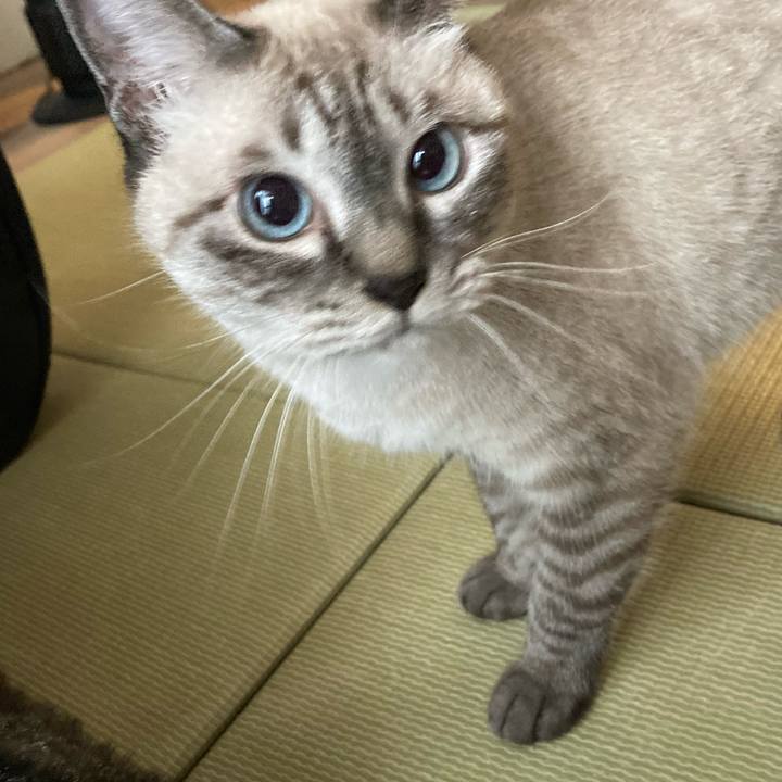 0d9c9b40 06f3 44f1 aa0b 8a24afa05eb8 1728088839414