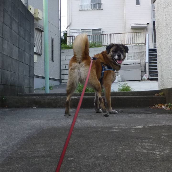 0d9ce493 84a0 4330 96d0 4c5797bd18f8 1579004837526