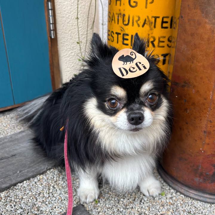 0d9cec2c ee73 4cbc 9fec 29d40221b9bd 1759044268281