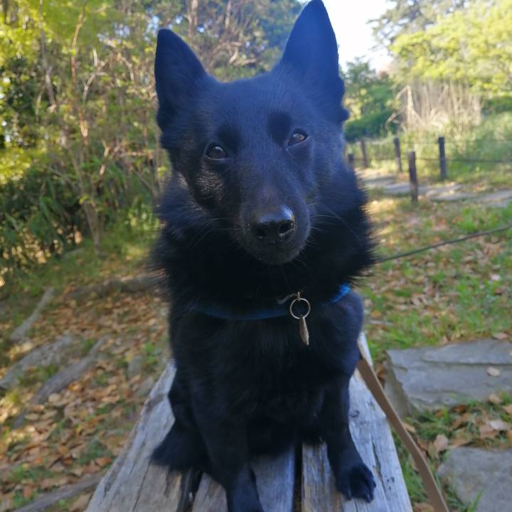 0d9d1aeb acca 4e28 aaed 854b491bf802 1618178456608