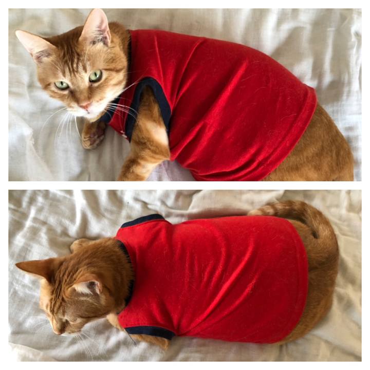 0d9d3ea2 e62d 49c2 8ca6 17f90bf74db1 1632641508776