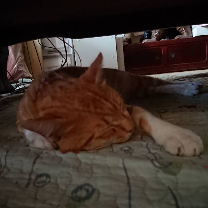 0d9d4069 7ef7 43b0 b555 c2583b60d9a0 1564290468871