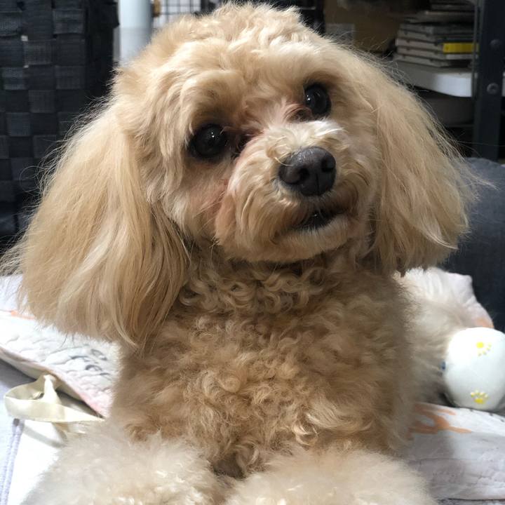 0d9d55ac 2780 418e 94f1 0370e40bc4b1 1612101837741