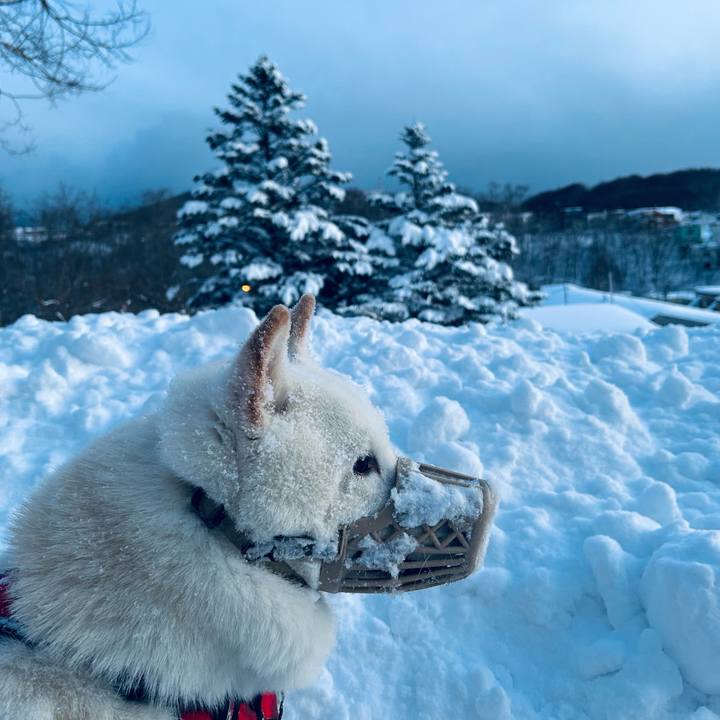 0d9d650d 4c3c 4cac 9310 331e460e9e59 1767910961472