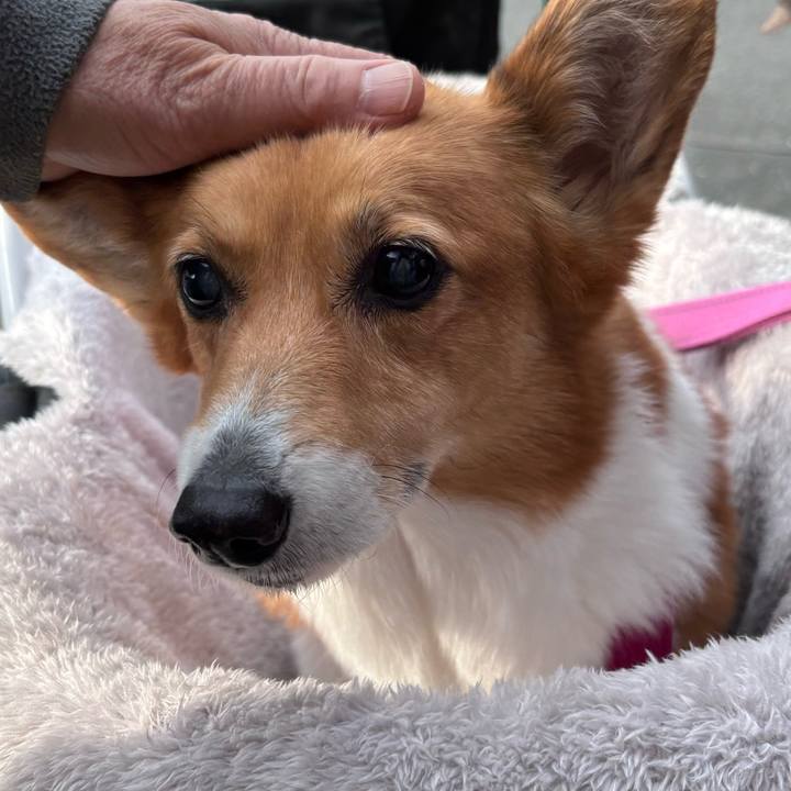 0d9d874d 0c49 409c aadc b265165fcde9 1738208028485