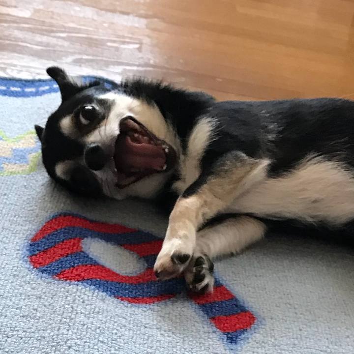 0d9dd9b4 c272 488c bcd3 375bd9bd68ca 1532169272999