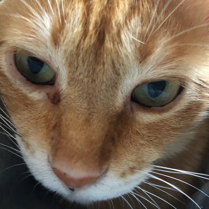 0d9e148a acd4 423c ad23 dedab9bad391 1630111061923