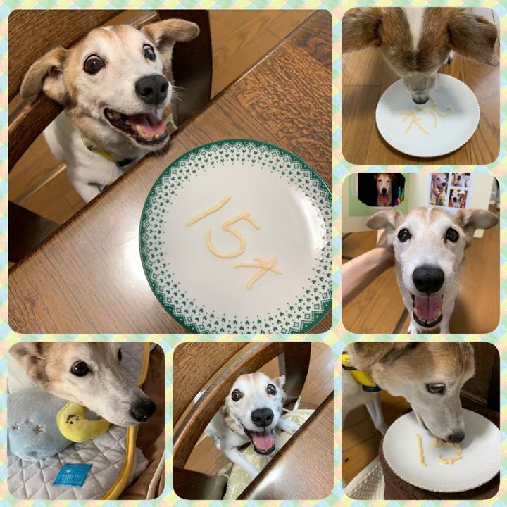 0d9e265a f9e8 45a8 b24f 57332b493fdd 1565944644542