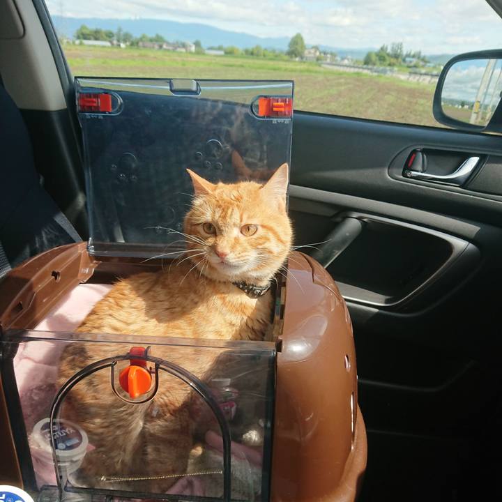 0d9e6033 7171 47f7 b0a3 4d9f047b17b4 1655078414634