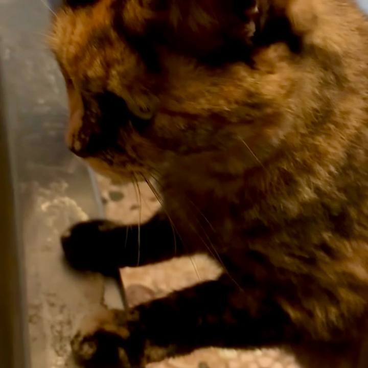 0d9ee67e 5dd7 4411 aa51 ffcc49f9a97a 1759782348109