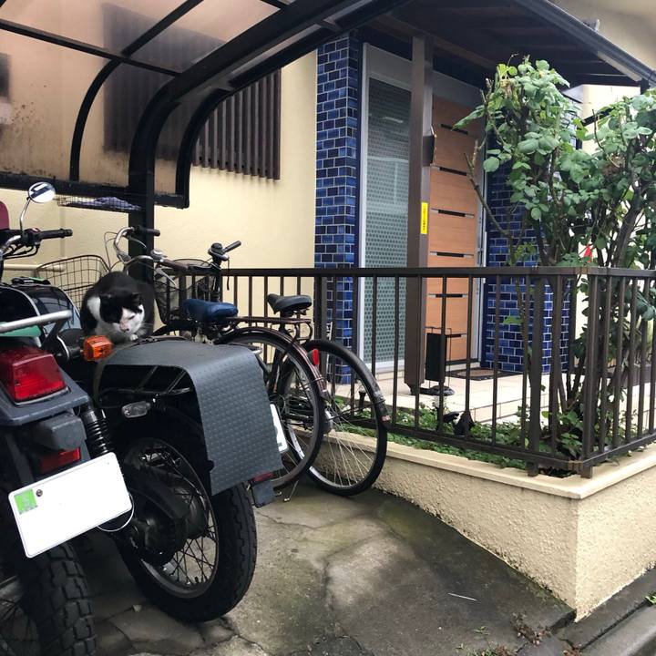 0d9f027c a0ca 4907 8f10 5adb913b2b91 1563107180221