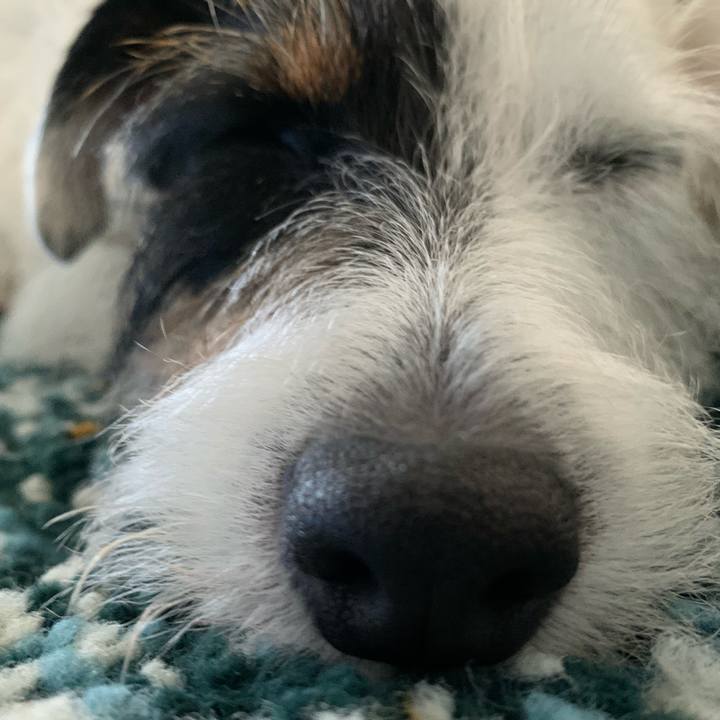 0d9f174a f658 47fa a55d ae2eb7e2895d 1597218565959