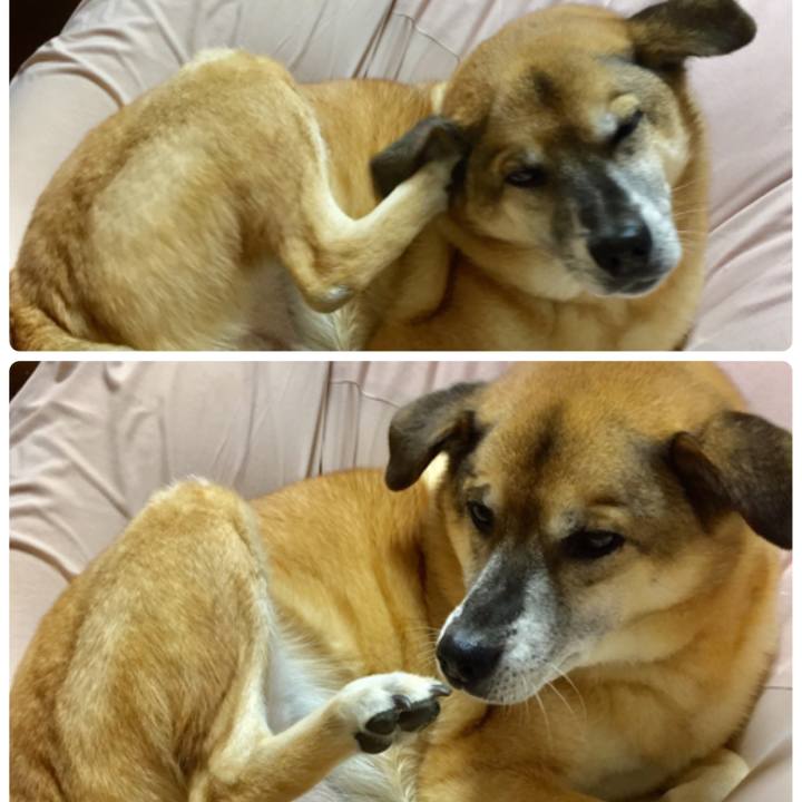 0d9f27a5 a359 480b 93b5 566a1d0085ac 1576143731437