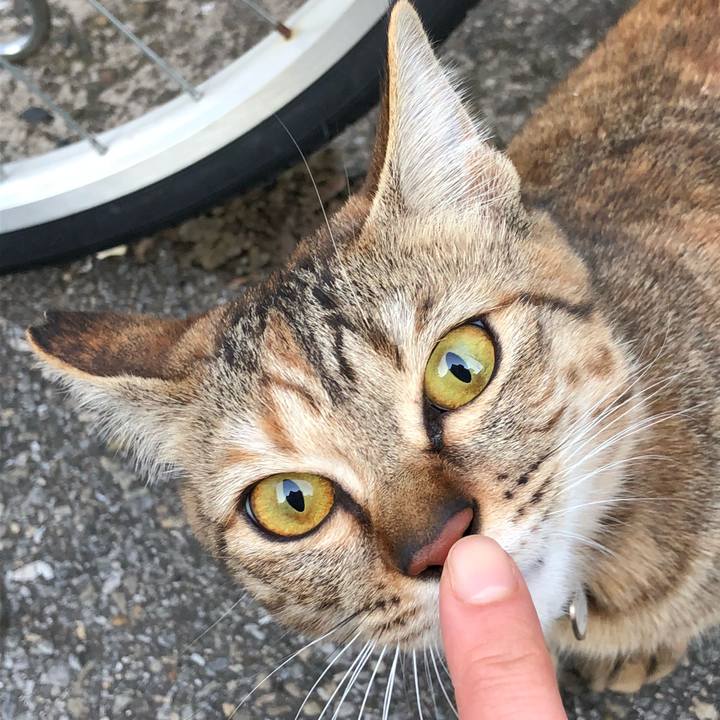 0d9f40d8 21a7 4049 a87b 392e7373361c 1519128147788