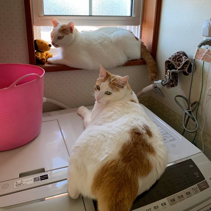 0d9f5c77 2039 428f 9487 20fb047013c6 1630220149055