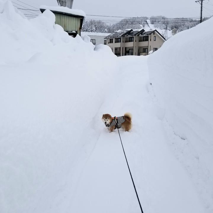 0d9f5d95 6031 4735 b4c4 2a2d4053ab4c 1642658824106