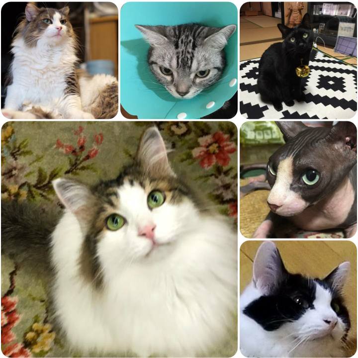 0d9f5e86 1abc 463a 8155 98308e0ef6d9 1567418716052