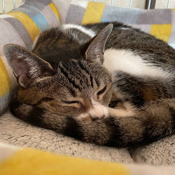 0d9f5f8b 5e11 47b3 b650 917de7bc12df 1625191591247