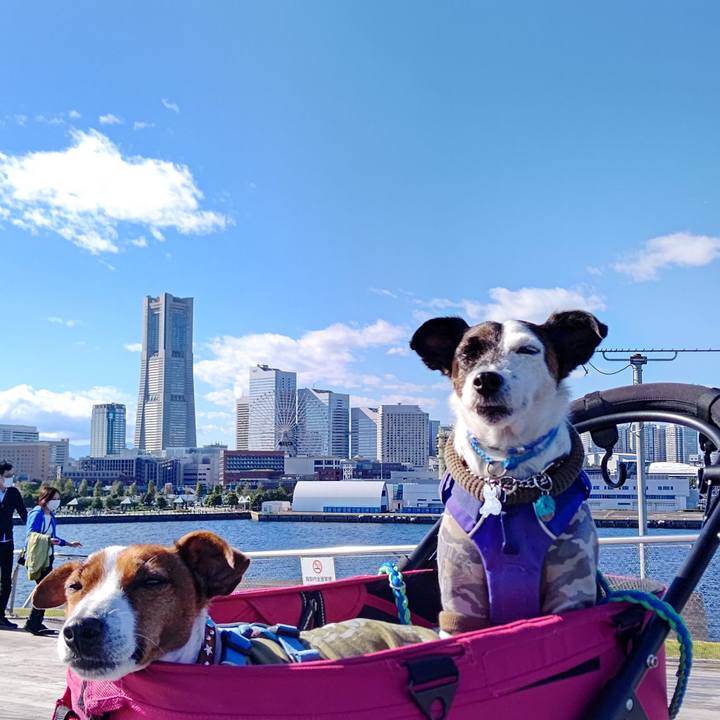 0d9fe3c2 4db4 44fb 8576 890eed1fb851 1634980402703