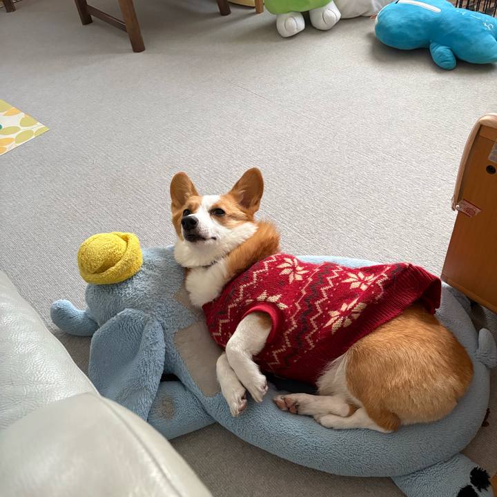 0da003d2 5dc1 4dca 87ce 306b6a90a343 1768978108716