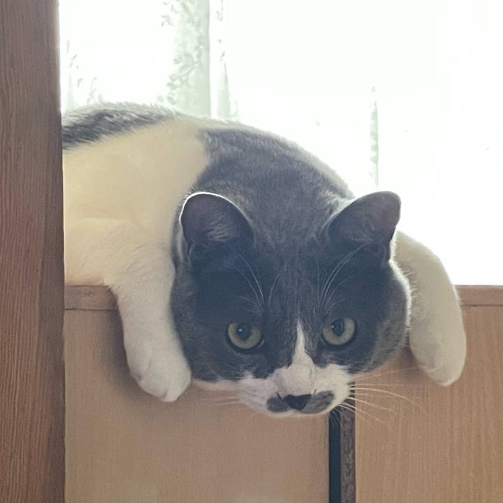 0da019b1 2938 4eda 90e1 a6acd4bf792c 1657323083523