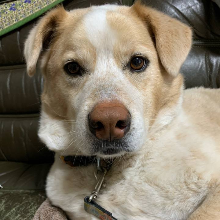 0da05079 3dd3 4eba 87a5 3108fe64fc73 1583639034910