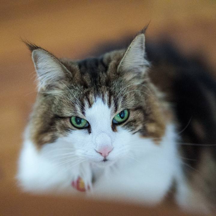 0da07358 d5c8 41d3 a60a 2753bf3c6c94 1743490000300