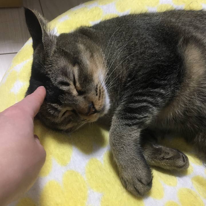 0da077c4 fc4f 4ee3 aeb8 45723ad979ad 1512814524488