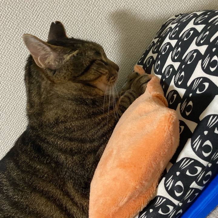 0da08b95 33bf 4e48 ace9 d3c6612e6009 1650457428516