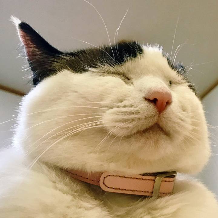 0da0a88b a154 4d7e adef 1855acfa612c 1517833396885