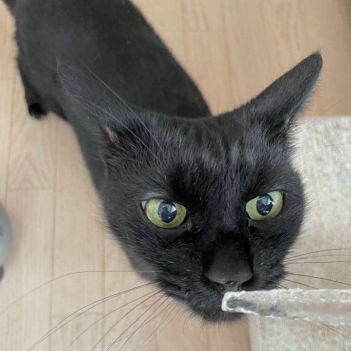 0da0d03d 188a 468e 9f21 f6d10c75067c 1770518716737