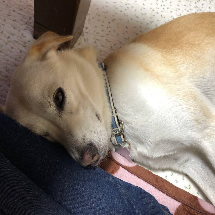 0da0d99b bb7a 40a9 a801 2089afe453f0 1628822889760