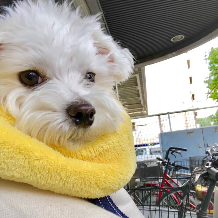 0da10a77 c5c9 47ec a049 7ed724f06bac 1558258965623