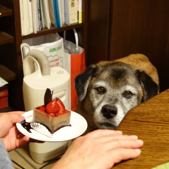 0da10acf 6f7d 4bd0 be14 32529c9f6150 1567342550258