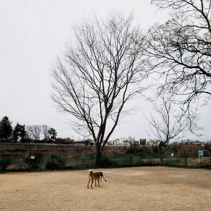 0da11343 2456 4e96 a6ec 8f5540132b32 1770427759988