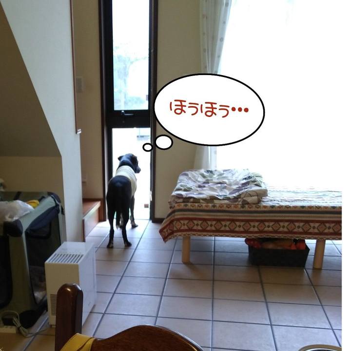 0da18623 6d23 41ca bad9 07feaaac86f4 1620212670144