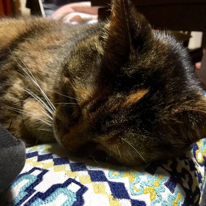 0da1eb5e 7a76 443a 8857 711cdbb7a10c 1570876078324