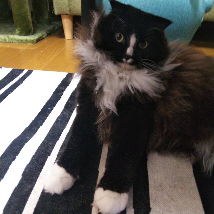 0da1f75e 778d 4064 9014 8a39bc5666b7 1660049426588